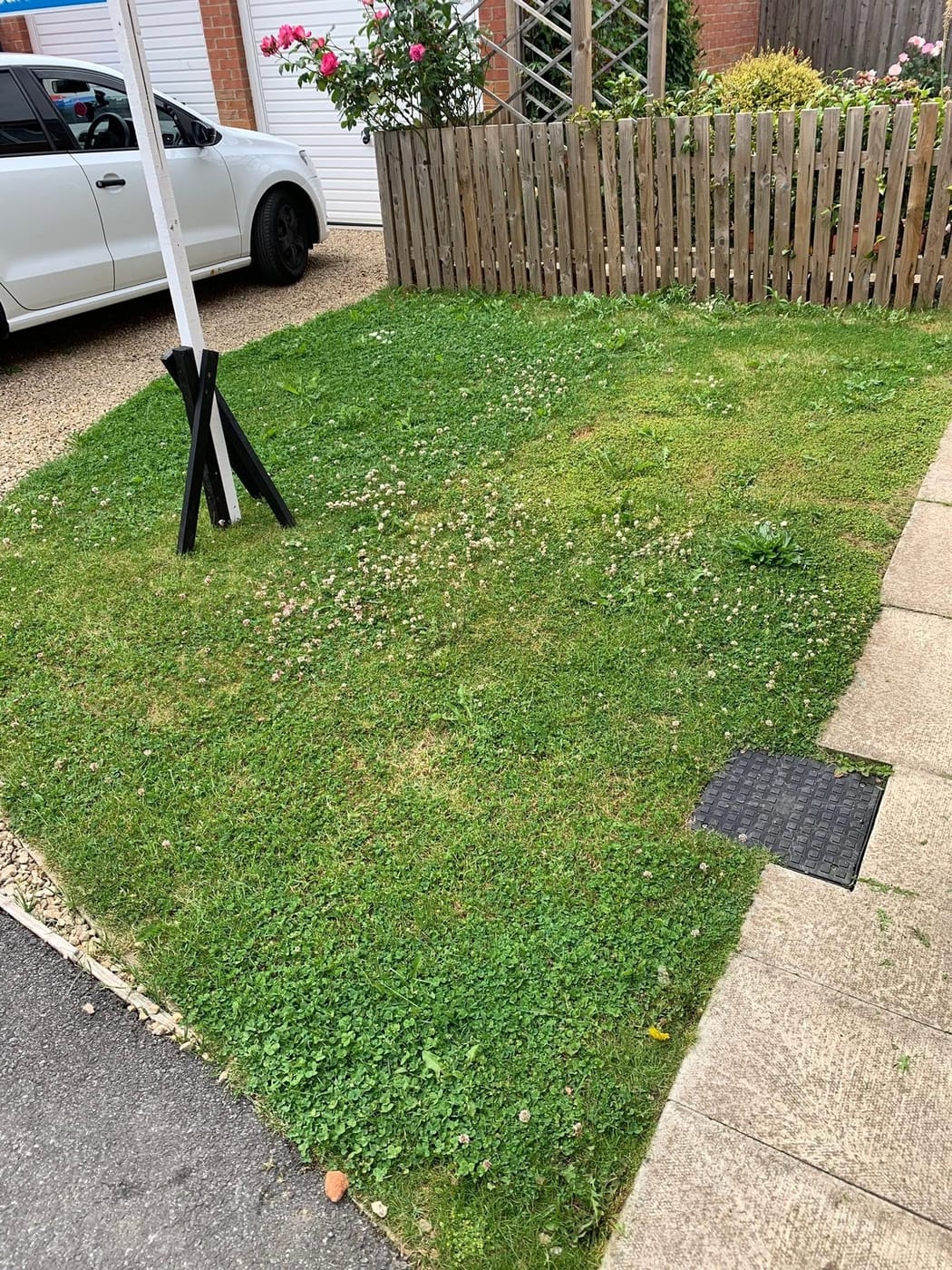 The front lawn after its cut