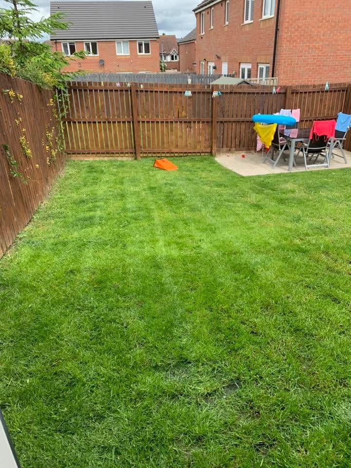 A back lawn cut into neat stripes, with garden furniture on the patio behind