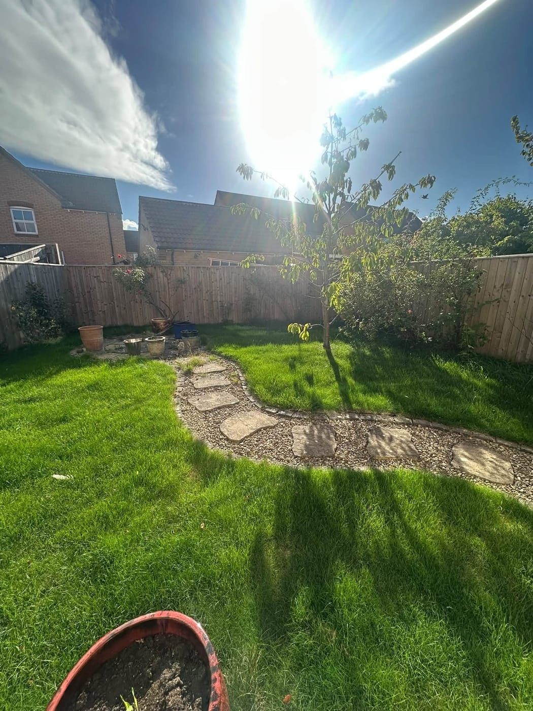 Before: the same garden in the sun, with the borders full of overgrown shrubs and a small tree